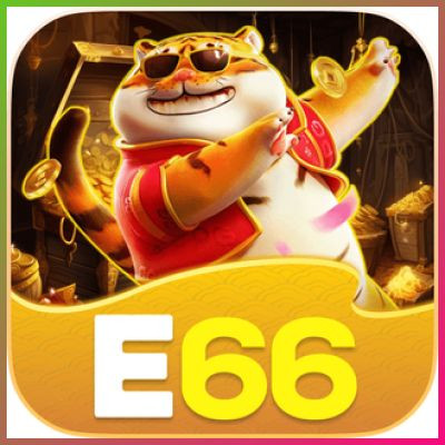 e66 e66